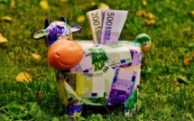 A piggybank for the EU: IMF proposes creating a reserve fund for the euro zone