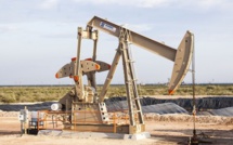 IEA: OPEC+ will reach its goal in May