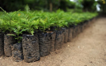 Does smart farming have a future in the retail market?
