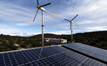 Competition tears German renewable energy market apart