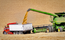 New wheat futures at CME unexpectedly became popular