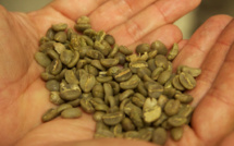 How marketing turned green coffee into bestseller