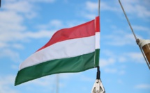Will Hungary become a new European gas hub? Will Hungary become a new European gas hub?
