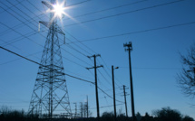 China fails to buy a stake in a key German transmission system operator