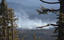 Climate change is already here, and it’s deadly Climate change is already here, and it’s deadly