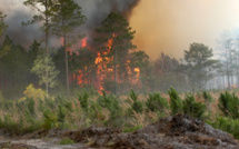 Extreme heat in Europe turns into deadly danger Extreme heat in Europe turns into deadly danger