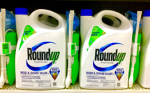 Monsanto to pay $ 289 million fine for cancer-causing herbicide