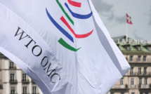 Trump lashes out at WTO