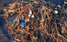 Alliance of large global companies takes on fight against plastic pollution