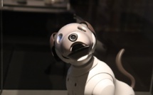 Nobody likes robots: polls show growing skepticism