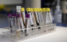 DNA tests are gaining popularity