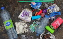 Analysts: World ecology is in the worst state in the entire history of civilization