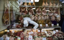 Is it worth to bet on meat alternatives?