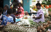 WTO: International assistance is the most effective for those who develop independently