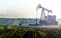 Price war in oil market will slow down transition to clean energy