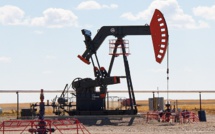 Mexican Pemex will develop Zama field with privately owned Talos Energy