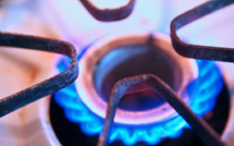German government: Liquefied gas is as environmentally unfriendly as coal and oil