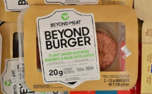 Beyond Meat shares plummet by 28% after poor reporting