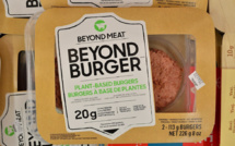 Beyond Meat shares up 36% after deal with Pepsi announced