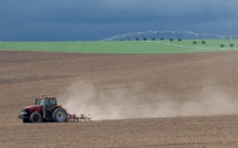 EU, US set new agricultural trade quotas
