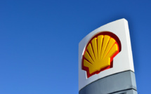 Eco-activists win in milestone case over Shell