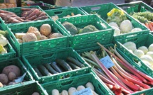 Oil and agricultural commodities boost trade in G20 Oil and agricultural commodities boost trade in G20