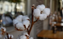 Cotton prices hit a ten-year high