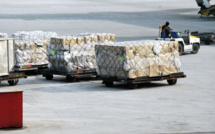 IATA: Global air cargo traffic is on the rise
