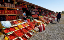 FAO: Global food prices hit ten-year high