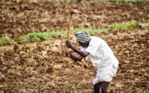 Expert: Fertilizers shortages could cause famine in the world's poorest countries