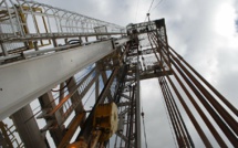 BCG: 60% of oil and gas investors feel pressure over green agenda