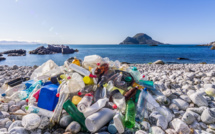 75% of people are for a total ban on single-use plastic