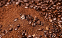 Fertilizers shortage puts coffee production at risk