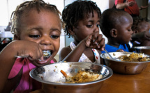 International organizations concerned about global food supplies