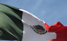 Mexico approves nationalisation of lithium mining companies