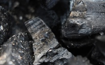 U.S. coal miners report revenue growth U.S. coal miners report revenue growth