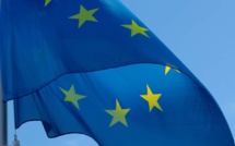 ESG development in Europe expected to stall after state support stops