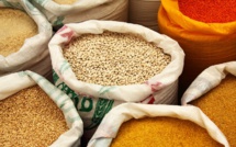 World leaders oppose food and fertilizer export bans