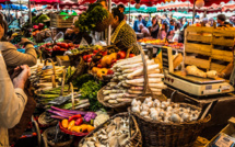 Global food prices fall by record 14.6% in 6 consecutive months