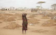 Red Cross: 350M Africans are starving