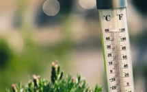Earth's temperature rise may exceed 1.5°C threshold in the next five years