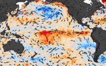 FT: El Niño phenomenon will cause food inflation to rise in developing countries