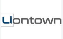 Australia's richest woman increases stake in lithium producer Liontown Australia's richest woman increases stake in lithium producer Liontown