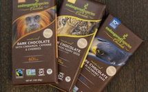 The New Sixty Percent Natural Cocoa Bars of Endangered Species Chocolate Is A Creative Take On Food