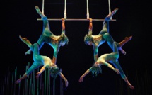 Sun King and his Circus: Cirque du Soleil's Story of Success