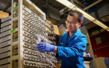 South Korea to allocate $29B over 5 years to support battery manufacturers