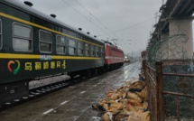 China's railroads carried record number of passengers and freight in 2023