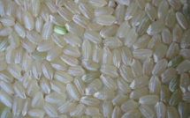 Plastic Rice is Found in China