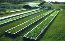 Water Tech On a High