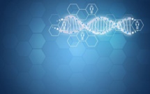 Bluebird Bio’s Remarkable Cell Gene Therapy